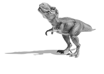 Mr. Trex